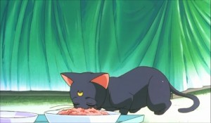 SailormoonS-movie (266).jpg