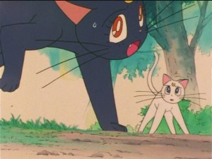 screenshot-anime-sailor-moon-s-episode-090-427.JPG