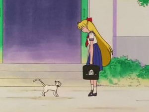 screenshot-anime-sailor-moon-s-episode-100-018.jpg