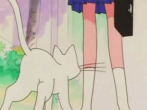 screenshot-anime-sailor-moon-s-episode-100-020.jpg