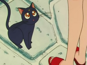 screenshot-anime-sailor-moon-s-episode-105-078.jpg