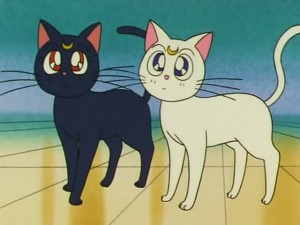 screenshot-anime-sailor-moon-s-episode-105-237.jpg
