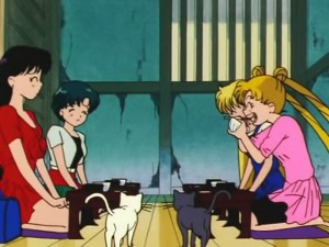 screenshot-anime-sailor-moon-s-episode-105-244.jpg