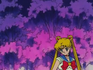 screenshot-anime-sailor-moon-s-episode-105-464.jpg