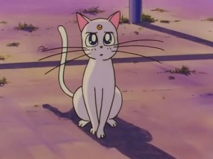 screenshot-anime-sailor-moon-s-episode-109-058.jpg