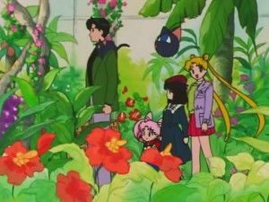 screenshot-anime-sailor-moon-s-episode-116-181.jpg
