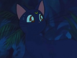screenshot-anime-sailor-moon-s-episode-116-323.jpg