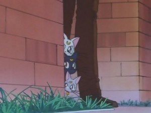 screenshot-anime-sailor-moon-super-s-episode-146-259.JPG