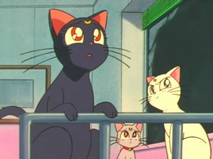 screenshot-anime-sailor-moon-super-s-episode-165-089.jpg