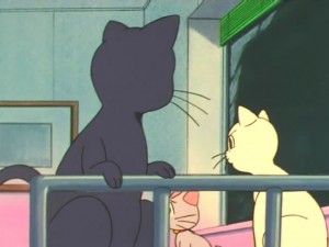 screenshot-anime-sailor-moon-super-s-episode-165-090.jpg