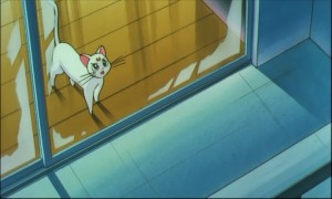sailormoon-ssmovie (898).jpg