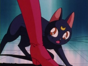 SailorMoon-s1-004(315).jpg