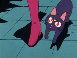 SailorMoon-s1-004(322).jpg