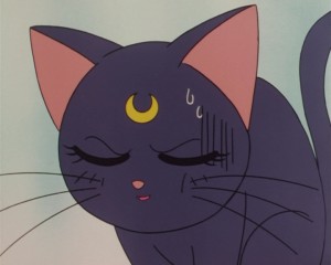 SailorMoonSuperSsp01 (67).jpg