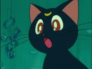 SailorMoon-s1-004(378).jpg