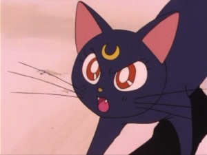 SailorMoon-s1-004(243).jpg