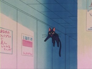 SailorMoon-s1-004(276).jpg