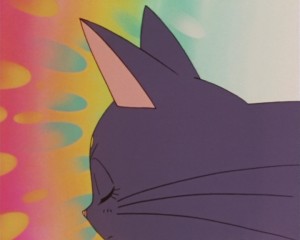 SailorMoonSuperSsp01 (107).jpg