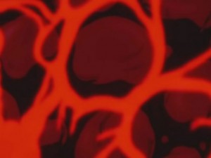 screenshot-anime-sailor-moon-sailor-stars-episode-199-641.jpg