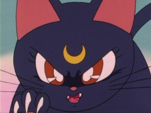 SailorMoon-s1-004(285).jpg
