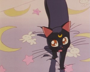 SailorMoonSuperSsp01 (83).jpg