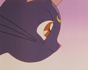 SailorMoonSuperSsp01 (100).jpg