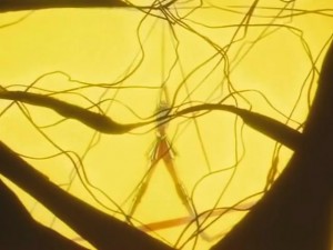 screenshot-anime-sailor-moon-sailor-stars-episode-199-464.jpg