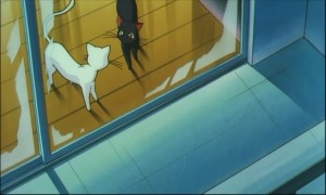 sailormoon-ssmovie (900).jpg