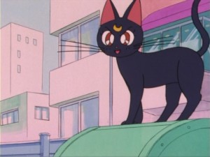 SailorMoon-s1-004(224).jpg