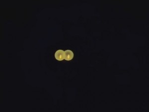 screenshot-anime-sailor-moon-super-s-special-2-002.JPG