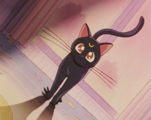 SailorMoonSuperSsp01 (81).jpg
