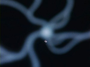 SailorMoon-s1-004(160).jpg