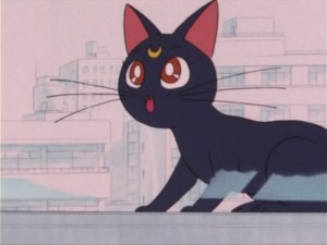SailorMoon-s1-004(252).jpg