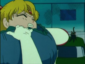 SailorMoon-s1-004(379).jpg